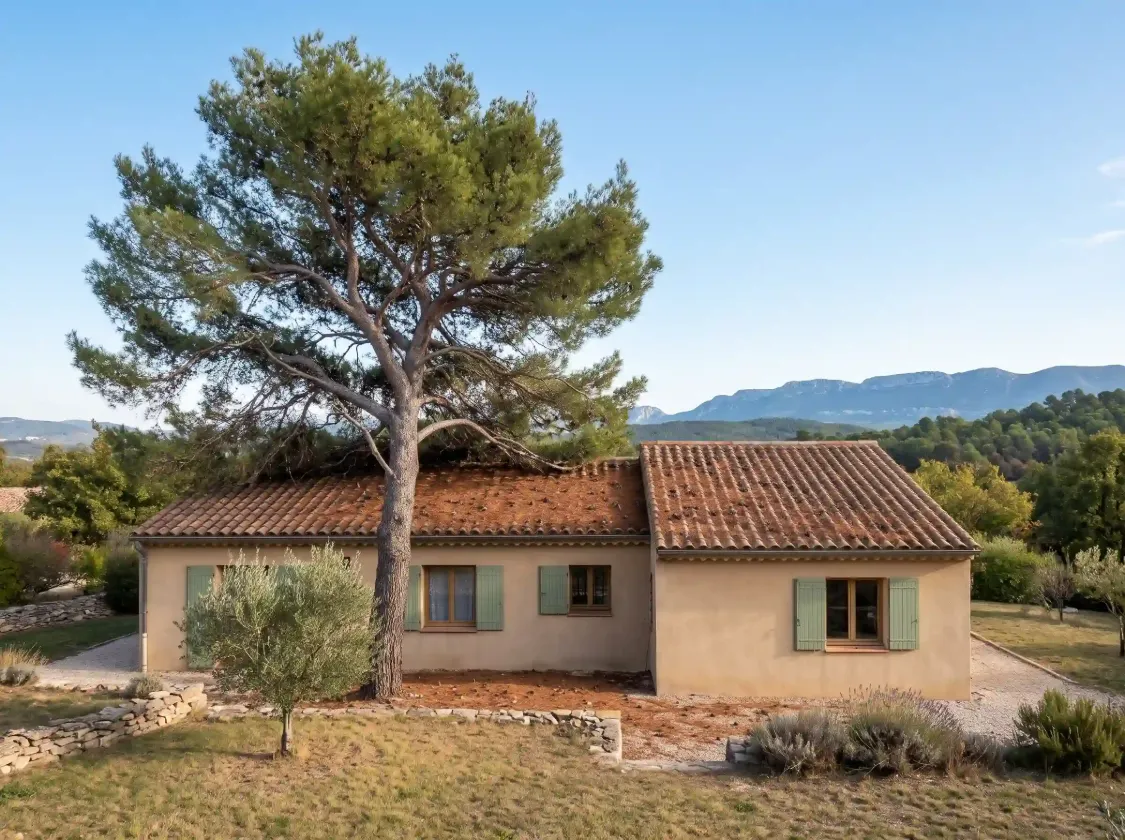Avant : grand pin dont les branches reposent sur le toit de tuiles d’une maison provençale
